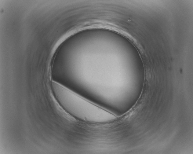 X0000074021522200608211056
