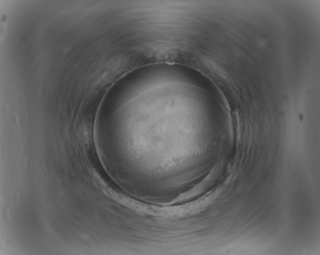 X0000074020039200608211458