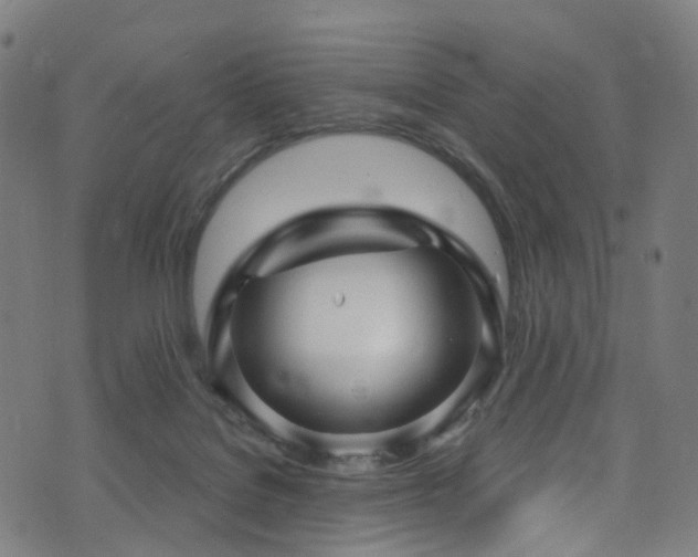 X0000074020076200608211458