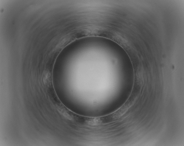 X0000074020079200608211458