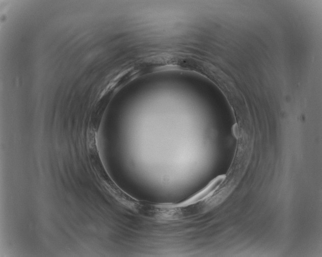 X0000074020096200608211458
