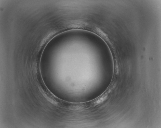 X0000074020106200608211457