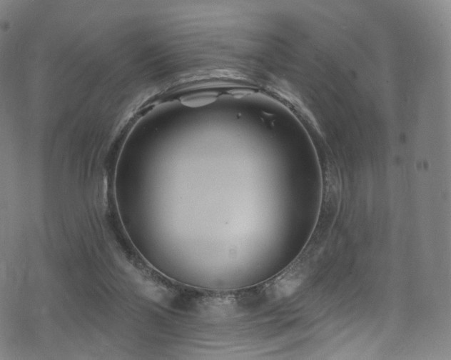 X0000074020110200608211457