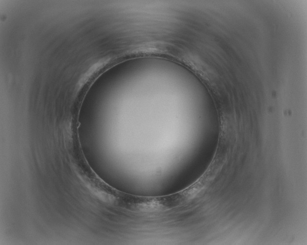 X0000074020112200608211457