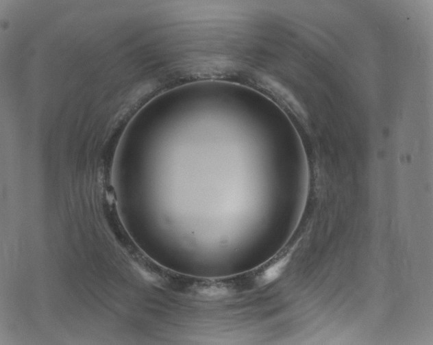 X0000074020113200608211457