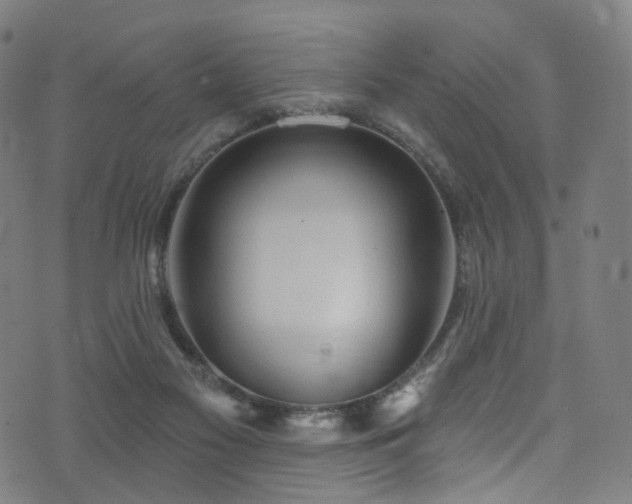 X0000074020117200608211457