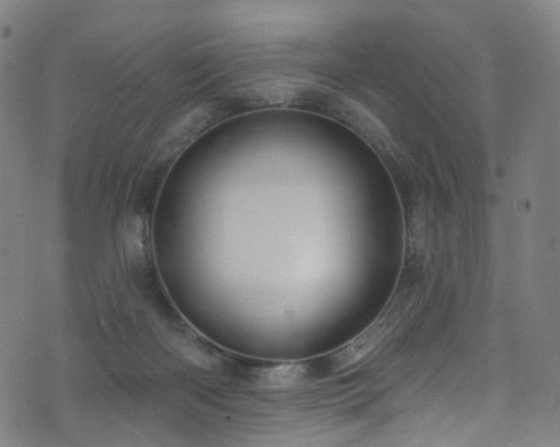 X0000074020122200608211457