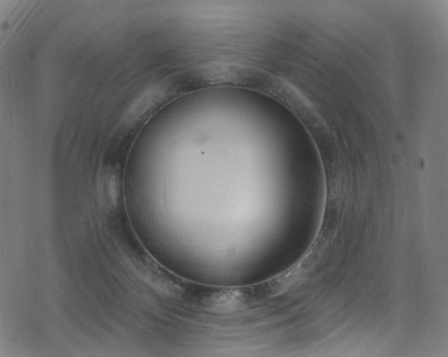 X0000074020124200608211457