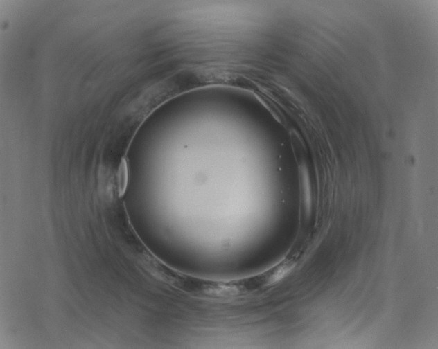 X0000074020125200608211457