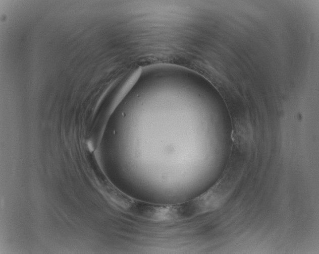 X0000074020130200608211457