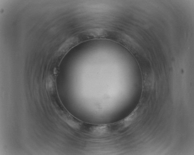 X0000074020132200608211457