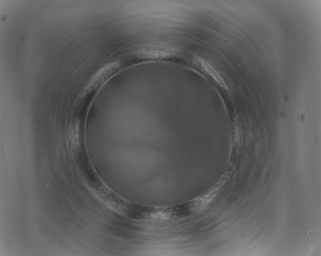 X0000074020163200608211456