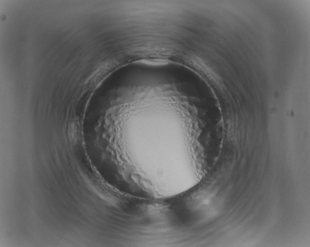 X0000074020165200608211456