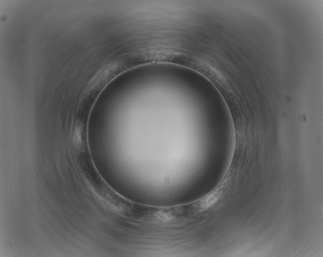 X0000074020166200608211456