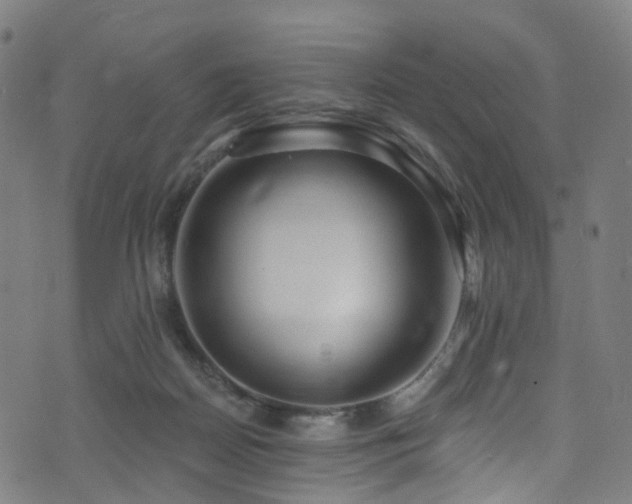 X0000074020170200608211456