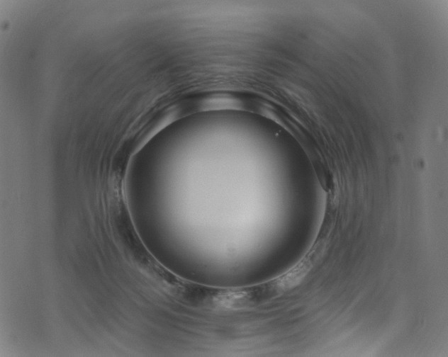 X0000074020172200608211456