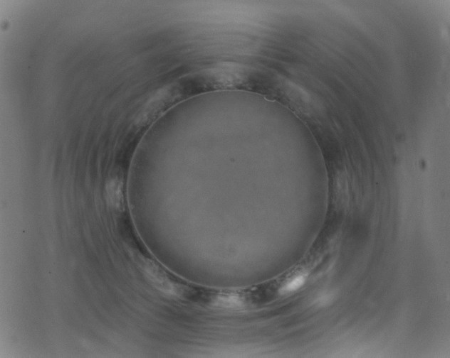 X0000074020177200608211456