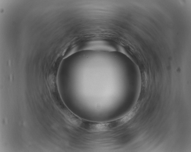 X0000074020184200608211456