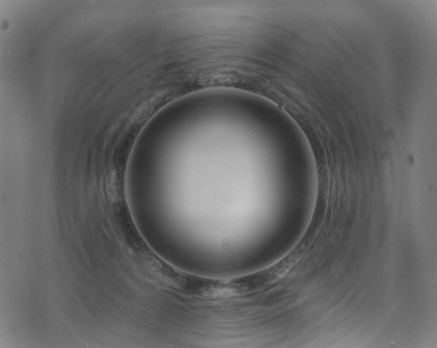 X0000074020224200608211455