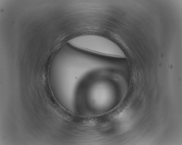 X0000074020259200608211454