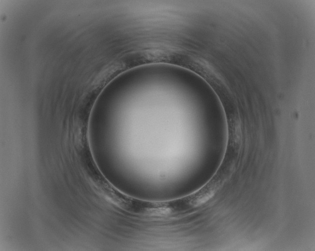 X0000074020266200608211454