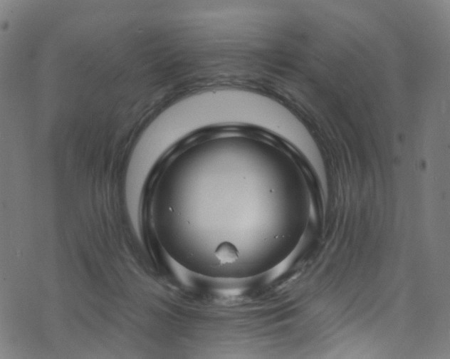 X0000074020268200608211454