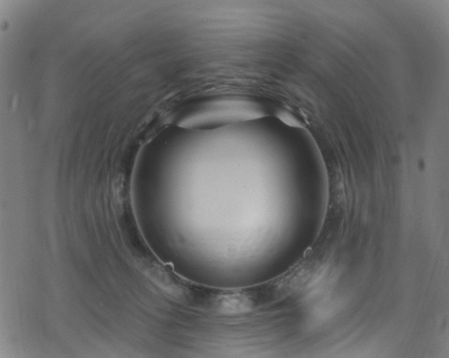X0000074020275200608211454