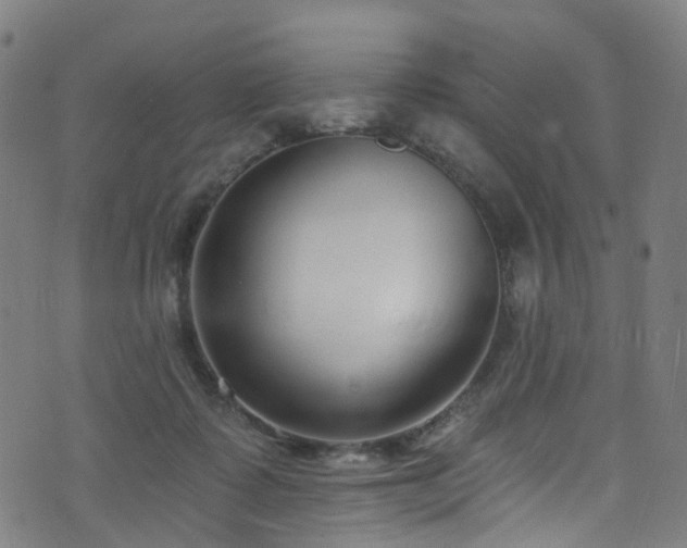 X0000074020315200608211453