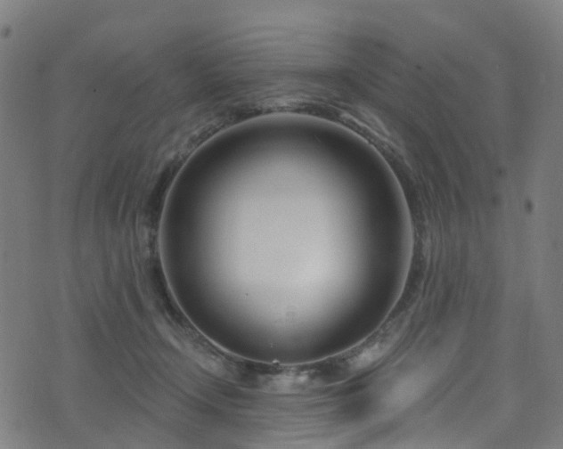 X0000074020366200608211453