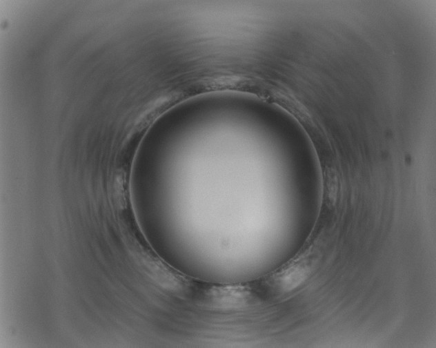 X0000074020378200608211453