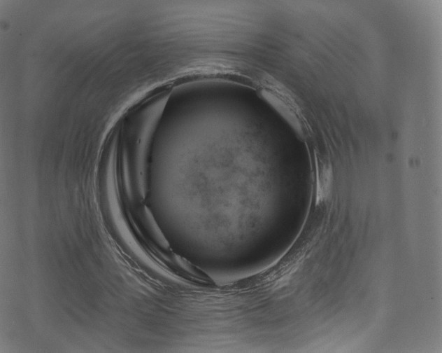 X0000074020387200608211452