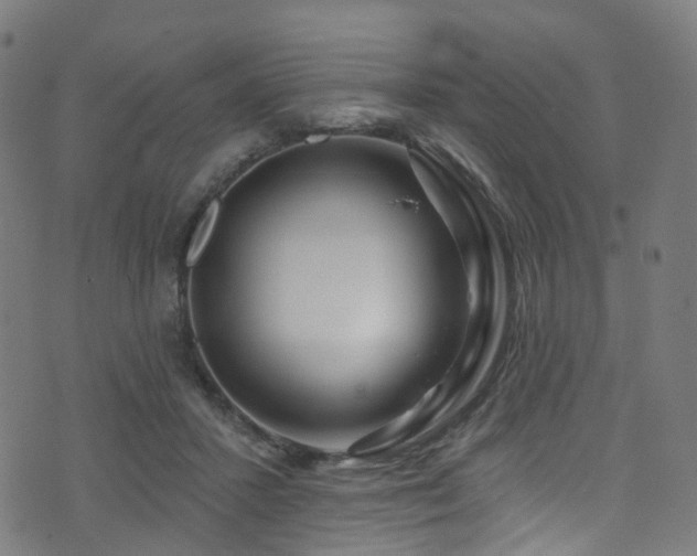 X0000074020407200608211452