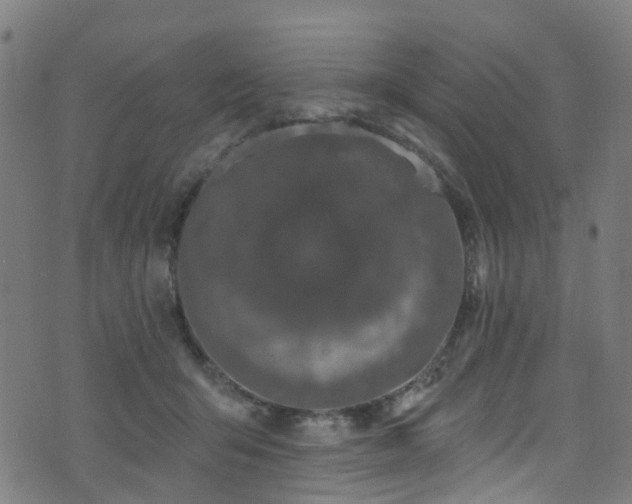 X0000074020415200608211452