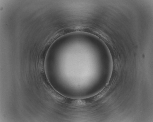 X0000074020421200608211452