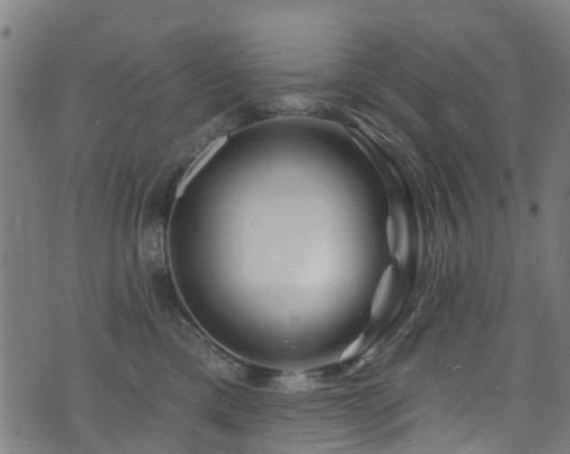 X0000074020425200608211452