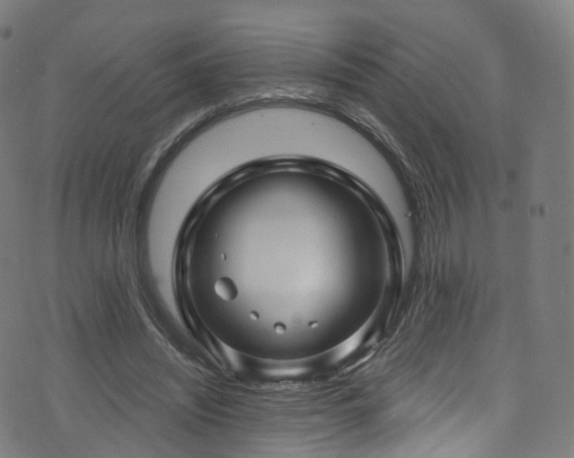 X0000074020444200608211451