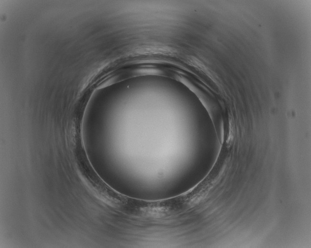 X0000074020448200608211451