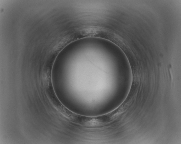 X0000074020460200608211451