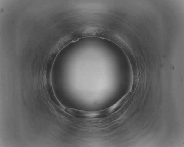 X0000074020504200608211450