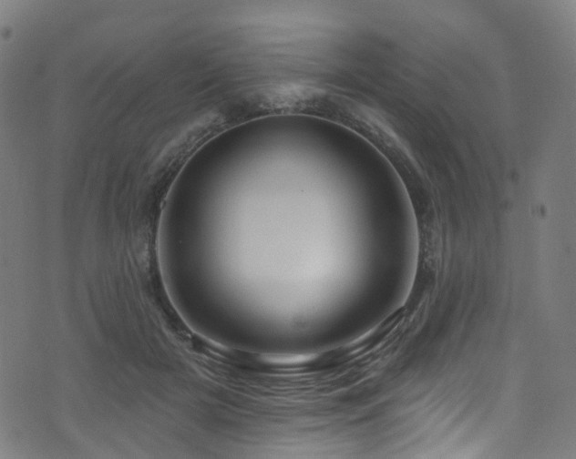 X0000074020505200608211450