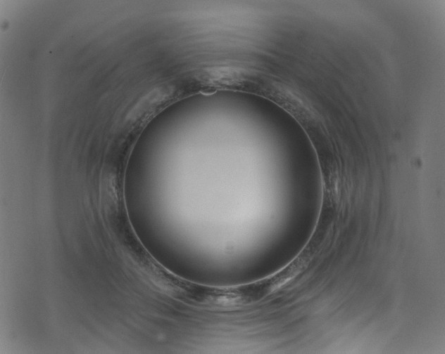 X0000074020506200608211450
