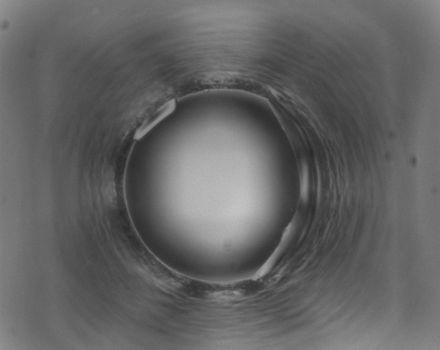 X0000074020508200608211450