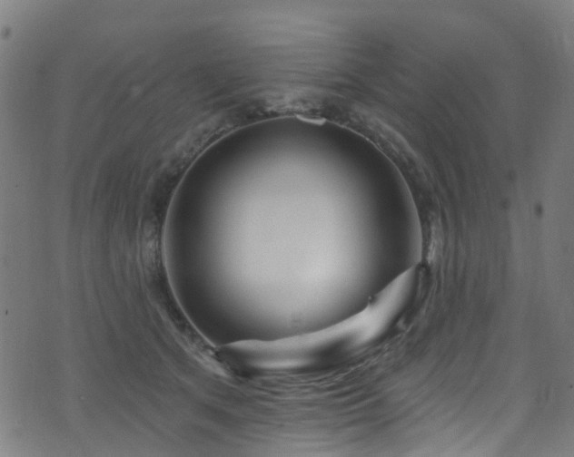 X0000074020513200608211450