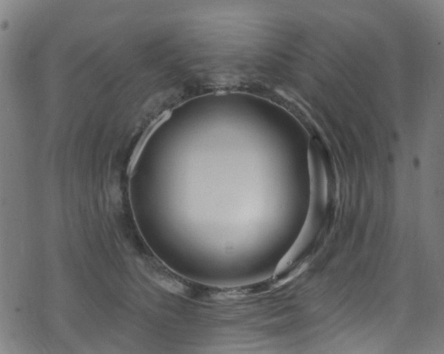 X0000074020516200608211450