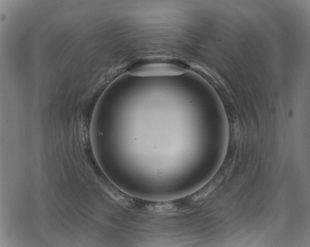 X0000074020517200608211450