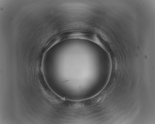 X0000074020546200608211449
