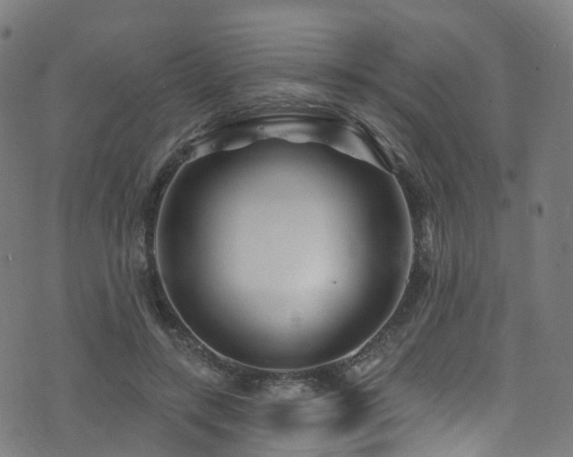 X0000074020547200608211449
