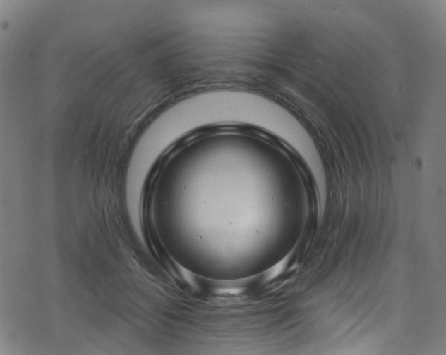 X0000074020556200608211450