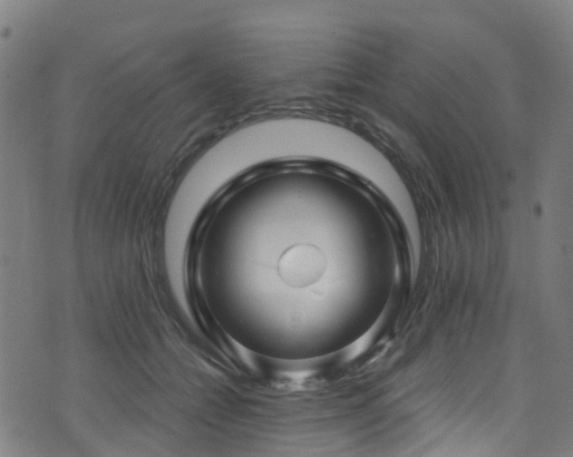 X0000074020558200608211450