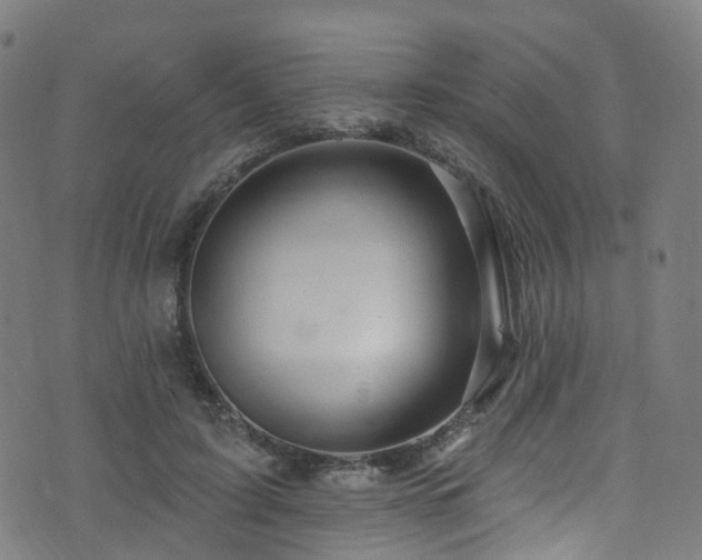 X0000074020595200608211449
